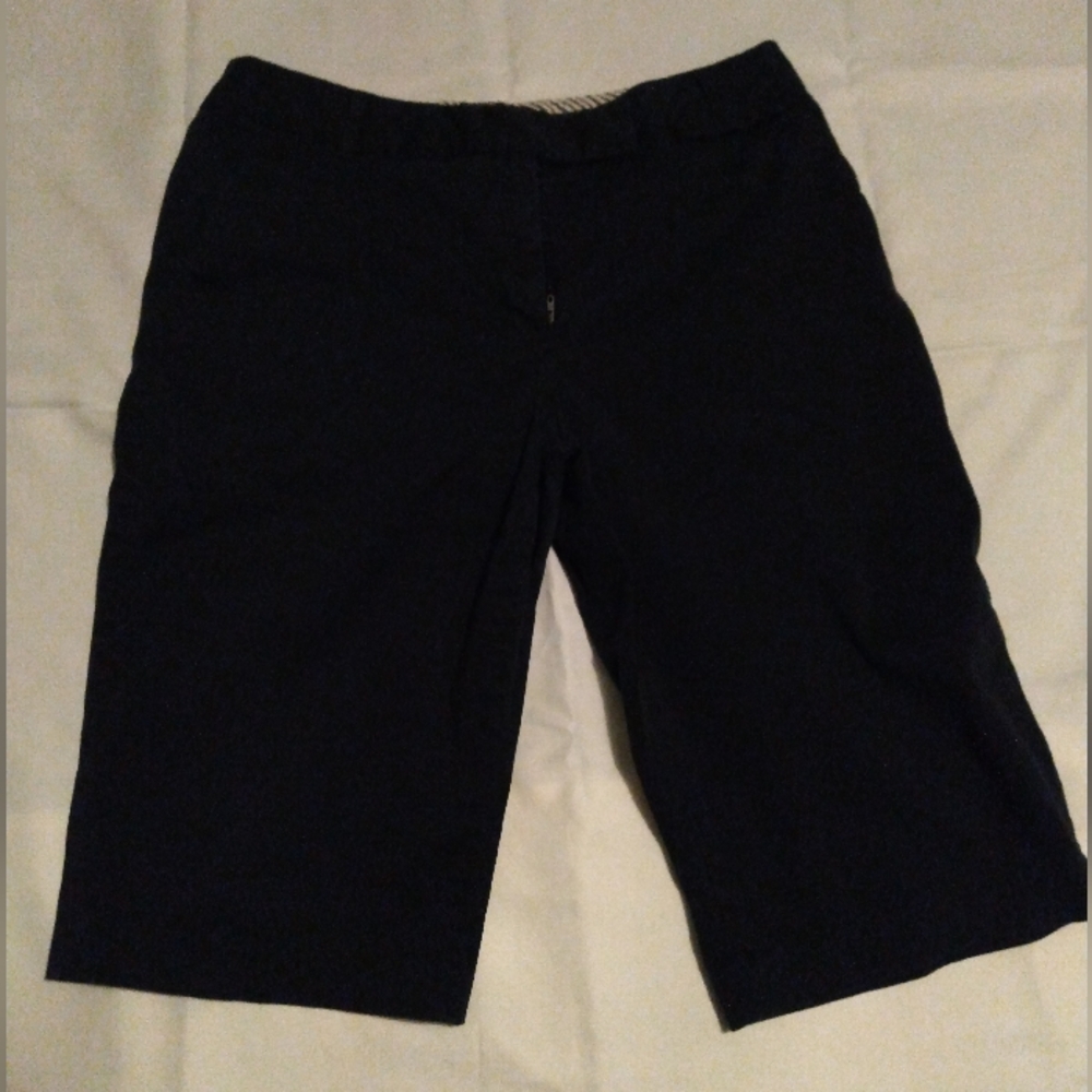 Dalia Collection Size10 Classic Black Shorts